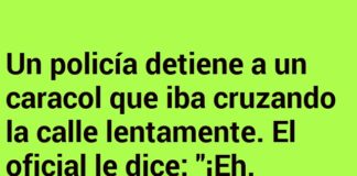 El Caracol con Complejo de Cebra