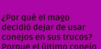 El conejillo de ilusión que ilusionó al mago
