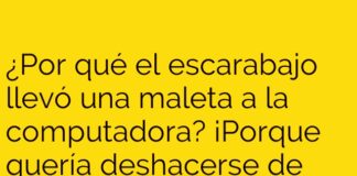 El escarabajo y sus nuevos amigos digitales