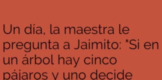 El ingenio inesperado de Jaimito