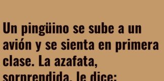 «El Pingüino de Primera Clase»