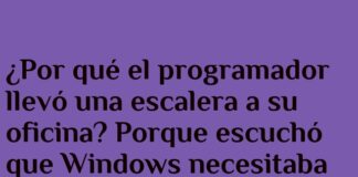 El programador y la escalera de versiones