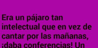 «El pájaro intelectual y el cuervo crítico»