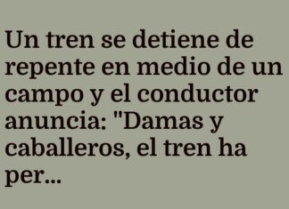 El Tren Sin Rumbo Busca Brújula.