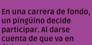 Elegancia a paso lento