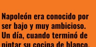 Franjas Blancas en la Historia de Napoleón