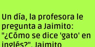 Jaimito y el inglés fácil del gato