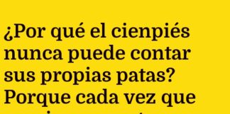 La Conga Infinita del Cienpiés