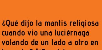 La luciérnaga indecisa.