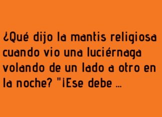 La luciérnaga indecisa.