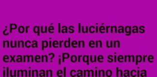 «Las luciérnagas y el examen iluminado»