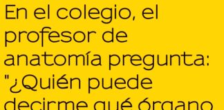 Lección de anatomía y confianza