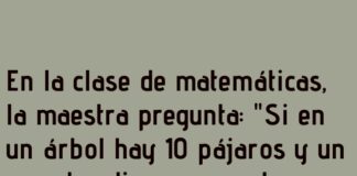 Lógica Pajaril en Clase Matemática