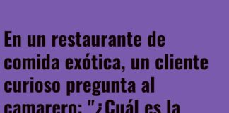 Magia en el menú: ¡platos que desaparecen!