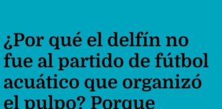 «Miedo al Silbato del Tiburón»