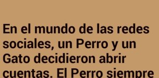 Misterio de Bigotes y Huellas Crípticas