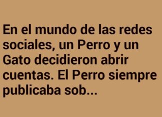 Misterio de Bigotes y Huellas Crípticas