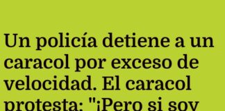 Multa por velocidad: ¡Caracol reincidente!