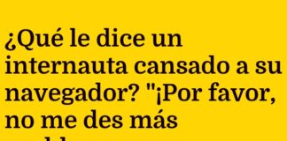 «Navegando en Modo Gato»