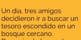 Perdidos pero con buen humor en el bosque