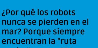 Robots en el mar: GPS, surf y gaviotas confundidas