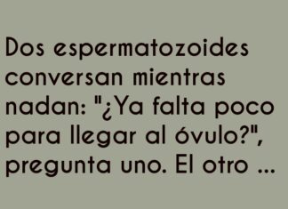 Rumbo equivocado