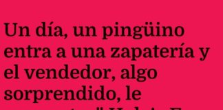 Sandalias para el Pingüino Vacacionista