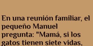 Siete Vidas Diarias con Amor Familiar