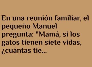 Siete Vidas Diarias con Amor Familiar