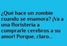 Amor al estilo zombie: cerebros en vez de flores