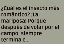 Amor entre alas y hojas