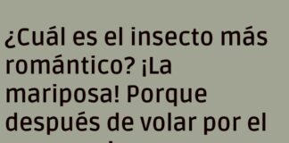 Amor entre alas y hojas