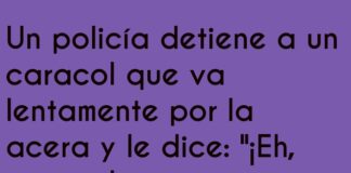 Aventura Lenta: Caracoles y Spoilers en la Patrulla