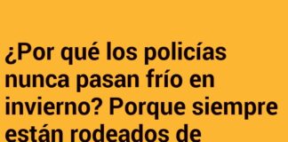 Calor Policial: Misterios Bien Abrigados