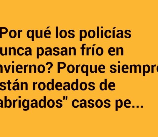 Calor Policial: Misterios Bien Abrigados