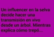 Caída Influencer: Likes de Monos en Vivo