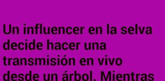 Caída Influencer: Likes de Monos en Vivo