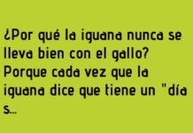 «Diferencias Horarias Entre el Gallo y la Iguana»