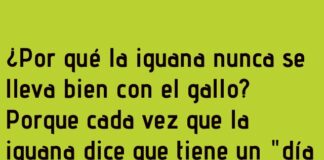 «Diferencias Horarias Entre el Gallo y la Iguana»