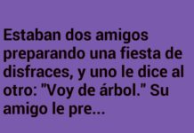 Disfraz práctico de Navidad