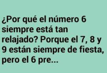«El 6: Relajado y en su Ángulo Perfecto»