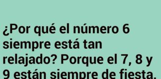 «El 6: Relajado y en su Ángulo Perfecto»