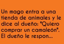 El camaleónico dilema del mago