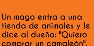 El camaleónico dilema del mago