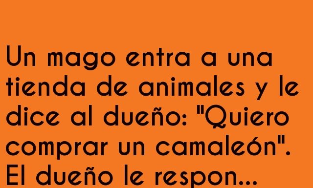 El camaleónico dilema del mago
