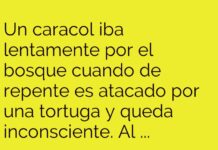 El caracol atropellado