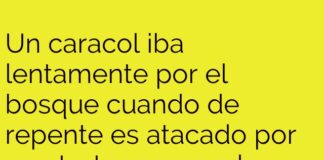 El caracol atropellado