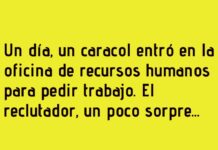 El Caracol Perfecto para Recursos Humanos