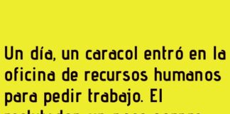 El Caracol Perfecto para Recursos Humanos