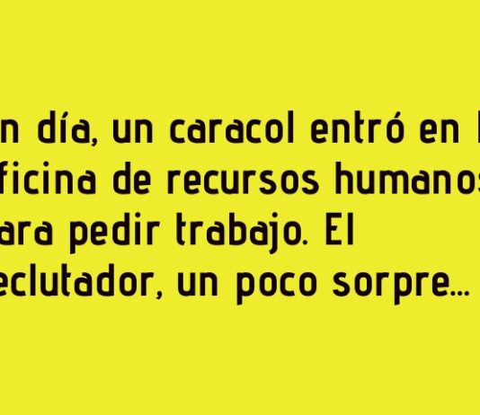 El Caracol Perfecto para Recursos Humanos